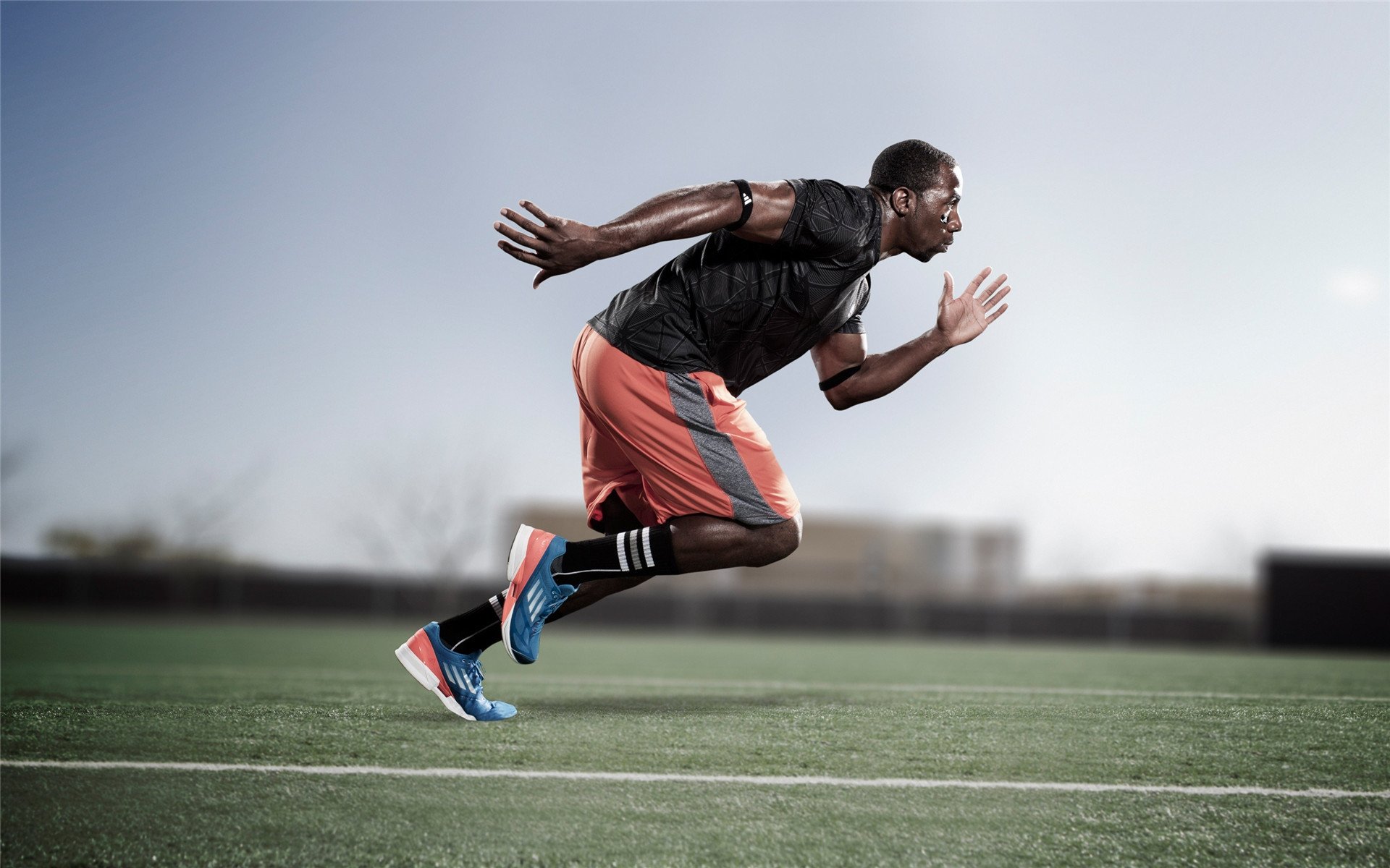 仰泳赛场比利时选手节奏精准，仰泳 backstroke 2017