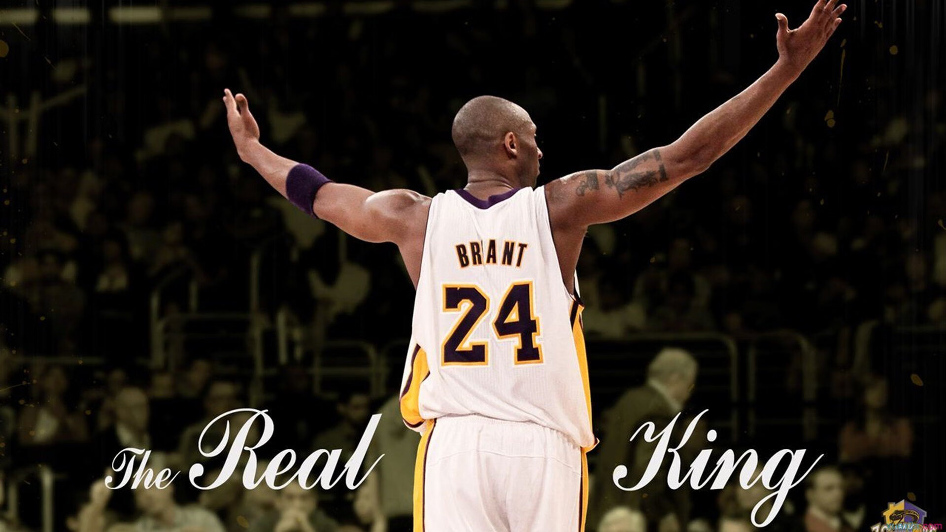 mk体育app下载-杰克·阿莱克西决赛表现亮眼夺冠有望，杰克 莱西