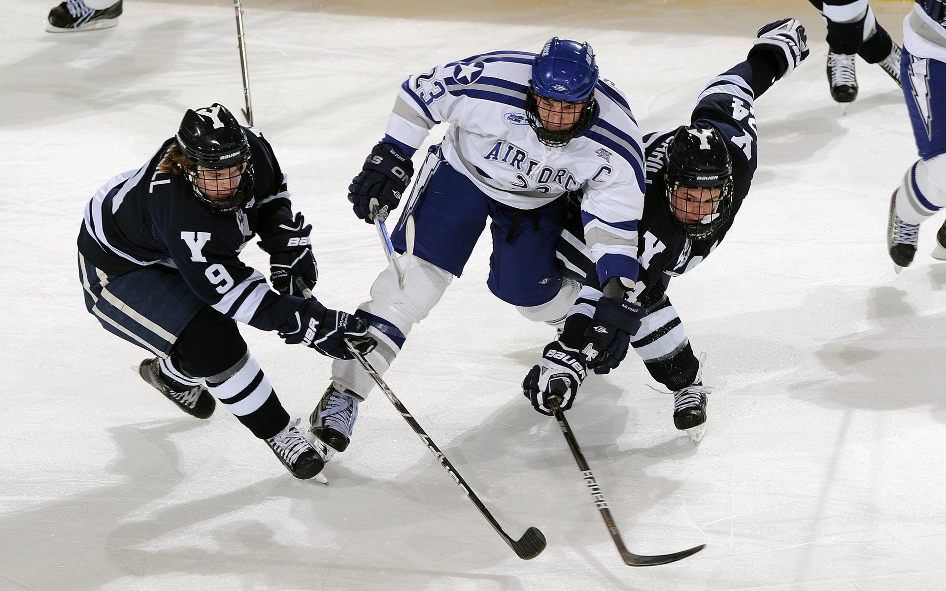 刘伟谈职场导向引领，缓解职位争夺压力，刘伟讲师的视频